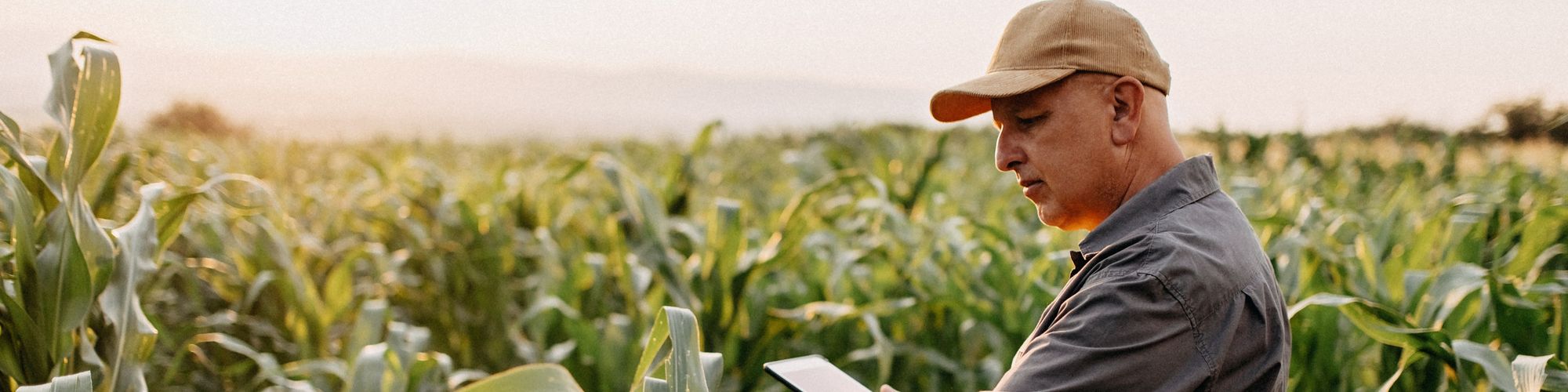 Getty Images - AgriTech - Verdant Robotics